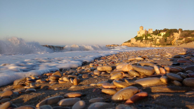 One of the beaches where researchers gathered samples.